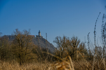 Obraz premium Am Donau-Altarm bei Bogen/Niederbayern