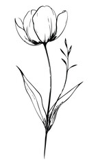 Obraz premium Minimal and cute flower, Dainty, and small line art. Style: Refined Figures Flower. Single stem. Thin lines. Consistent Flat lined illustration, Simple Design. Vector. Silhouette