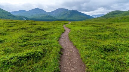 Naklejka premium Hiking trail through green highland valley, mountains background, scenic travel