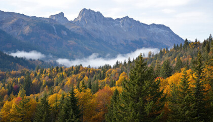Fototapeta premium Autumn Mountain Landscape with Golden Trees and Fog