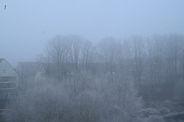Winter trees colg indistrie place ruhrgebiet