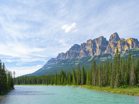 mountains and forest