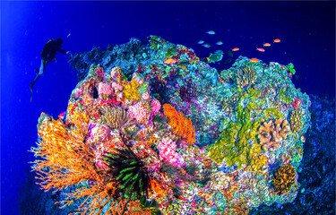 Fototapety na wymiar - Fototapeta24.pl