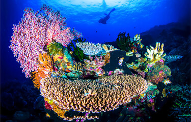 Fototapety na wymiar - Fototapeta24.pl