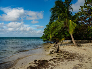 Empty Caribbean Beach