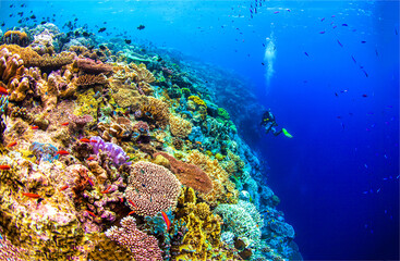 Fototapety na wymiar - Fototapeta24.pl