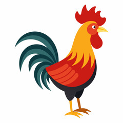 rooster isolated on white background