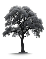 A majestic oak tree with sprawling branches and vibrant green leaves, isolated white background.