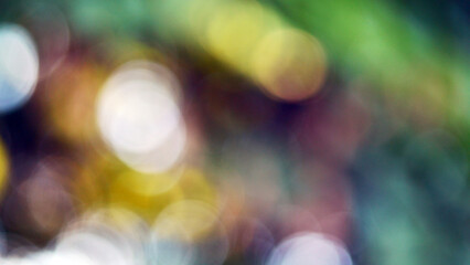 Vintage lens bokeh, nature out of focus, abstraction for background, circles of blur and glare