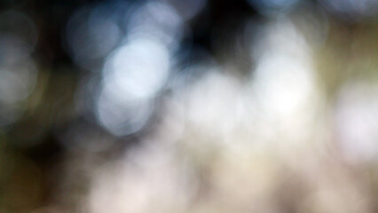 Vintage lens bokeh, nature out of focus, abstraction for background, circles of blur and glare