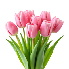 Fototapeta premium Bouquet of tulips with green leaves PNG on white background