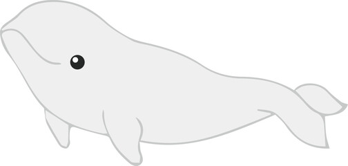 Hand drawn beluga whale. Underwater animal.