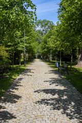 Path in a park in the spring, Zabreh, Czech republic