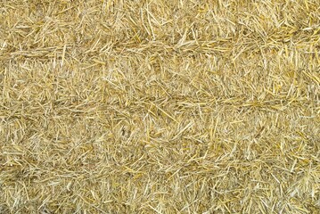 gepresstes Stroh als Dämmstoff und Hintergrund