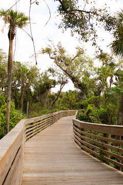 Nature Park Boardwalk Trail in North Port, Floirda