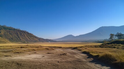 Mount Bromo and Semeru in Indonesia. Taman Nasional Bromo Tengger end Semeru. At Pasuruan East of Java Indonesia. we can see active two vulcano