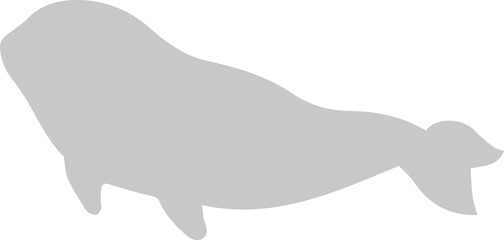 Beluga whale silhouette