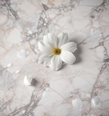 Tranquil white flower petals on marble background, serene, love