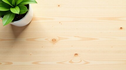 A Potted Plant on a Light Wooden Surface Provides a Peaceful and Serene Atmosphere