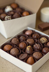 Assorted milk and dark chocolates in white gift box