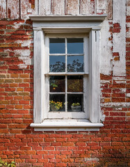 A weathered window with white trim sits in an old red brick wall, featuring small potted flowers visible through its panes.