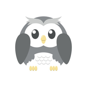 Cute flat Owl vector illustration