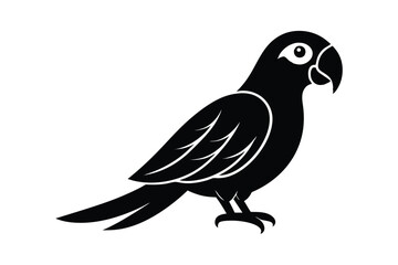 illustration of a bird