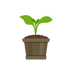 Green sprout in pot isolated on white background. Seedling icon. Vector cartoon flat illustration of young plant.