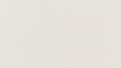 white canvas texture. white canvas fabric background