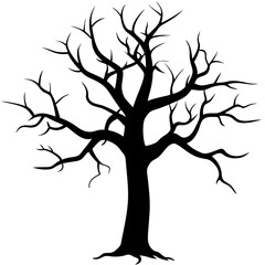 Obraz premium silhouette of tree leafless