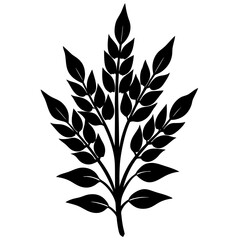 Fototapeta premium set of black silhouettes of leaves