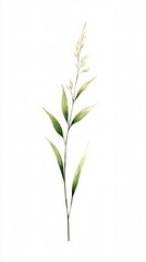 Obraz premium Elegant Green Grass Watercolor Painting: Botanical Art, Nature Inspired Decor, Simple Beauty, Minimalist Floral Design