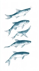 Serene Symphony: A Monochromatic Fish Composition