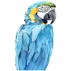 Obraz premium Bird Clipart Vector Illustration