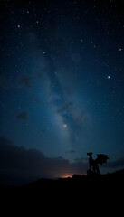 Fototapeta premium “starry night”