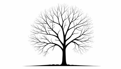 Obraz premium Isolated black silhouette of a bare tree with intricate branches on a white background