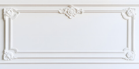 Elegant white wall paneling with ornate molding.  Perfect for backgrounds or design inspiration.