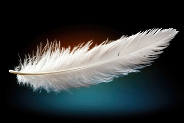 Obraz premium Close-up of a single white feather on dark background