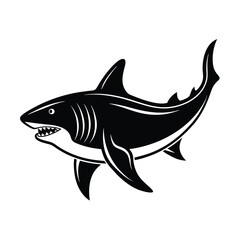 illustration of a shark