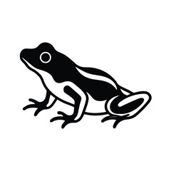 frog on white background