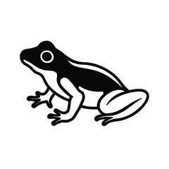 frog on white background