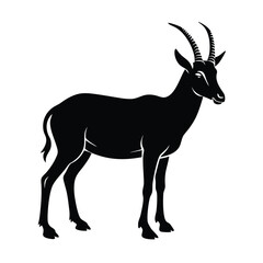 animal silhouette white background 