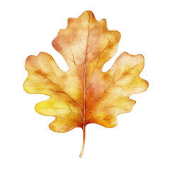 Fototapeta premium Autumn Foliage Clipart Vector Illustration