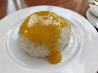 Durian paste on sticky rice 