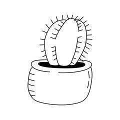 Vector illustration of a Echinopsis isolate on a white background. Doodle style