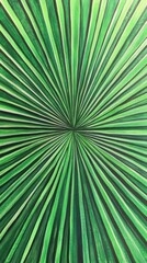 Close-up of radiant green palm leaf