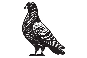 Pigeon Silhouette