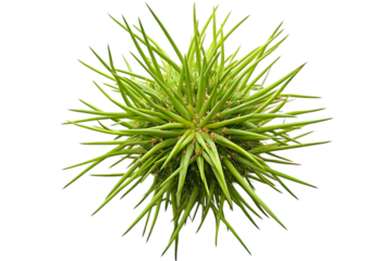 Digital rendering of a virus particle with spiky protrusions on