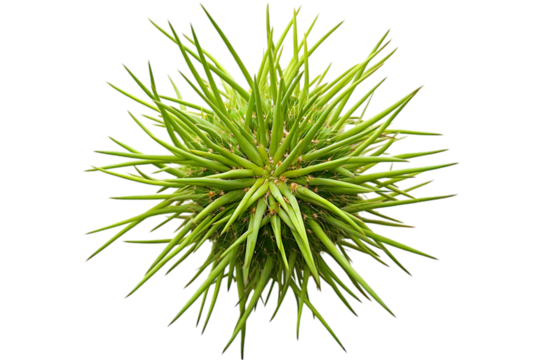 Digital rendering of a virus particle with spiky protrusions on