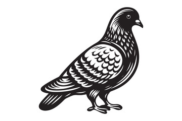 Pigeon Silhouette